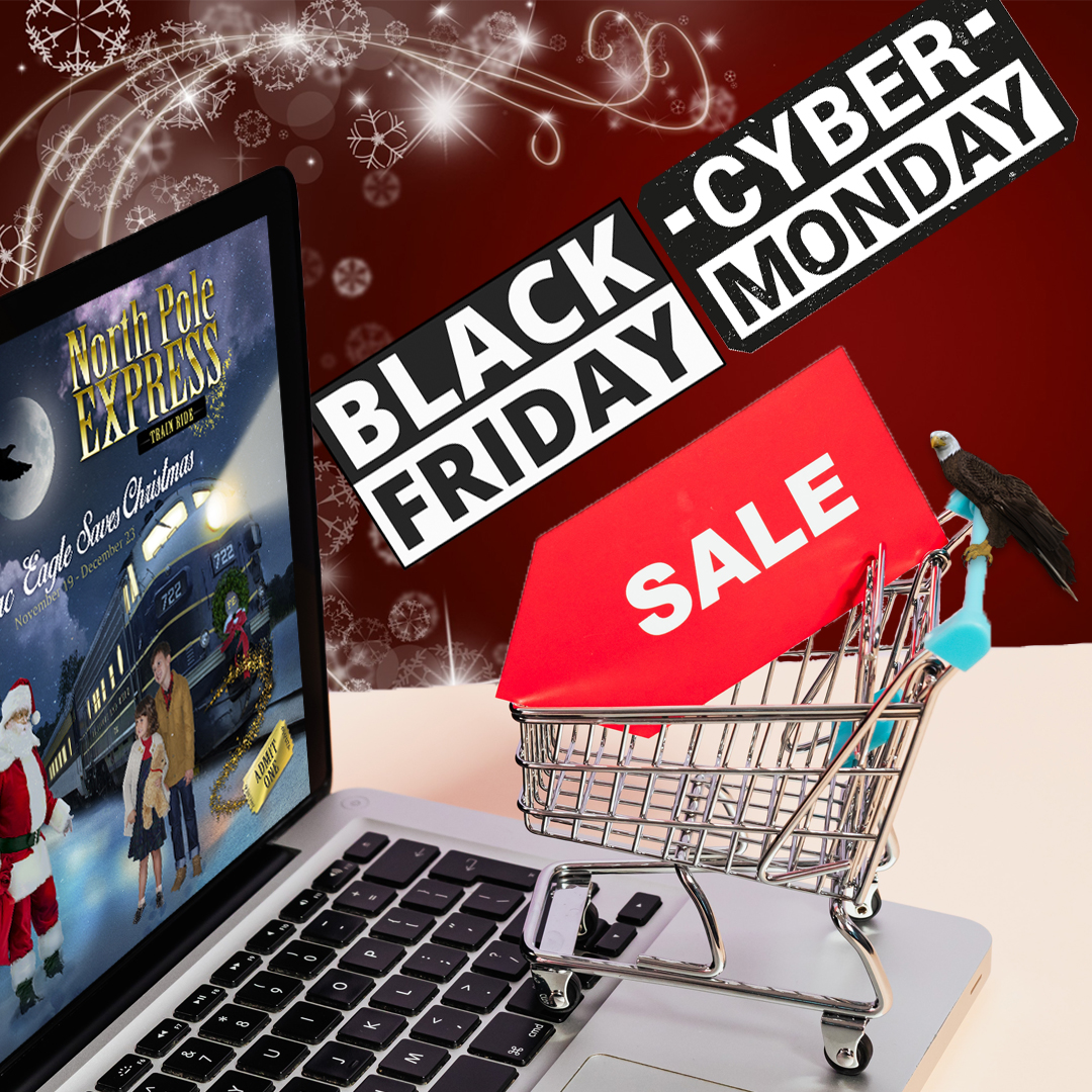 Black Friday Cyber Monday Sale